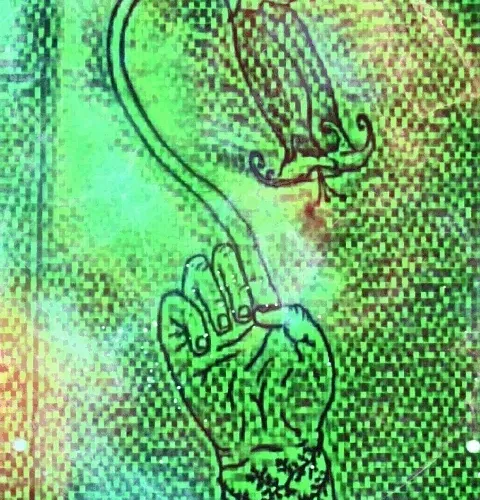 Digital Datura #8