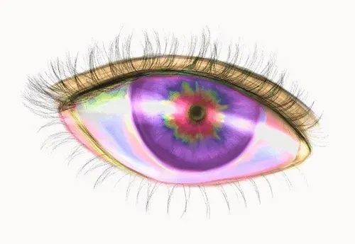 Item #42950694591796666568266939449637019646211598636303907727097118062806988488705 Media