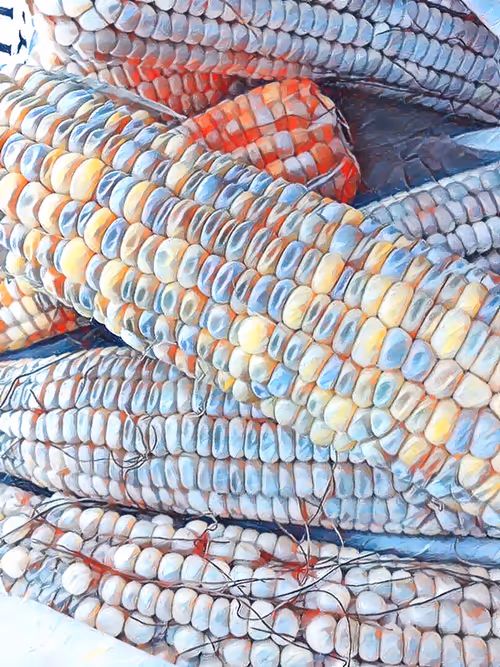 Item #113549443729585634184142871702156049309716598112415025024923876498430740135943 Media