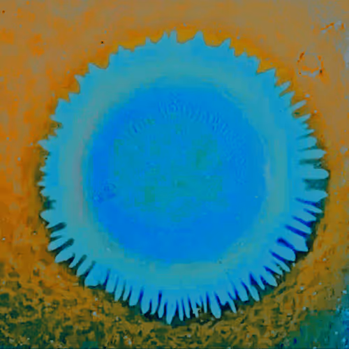 Item #4784811104091394596433299599418734801546949172415580233613544131290910949377 Media