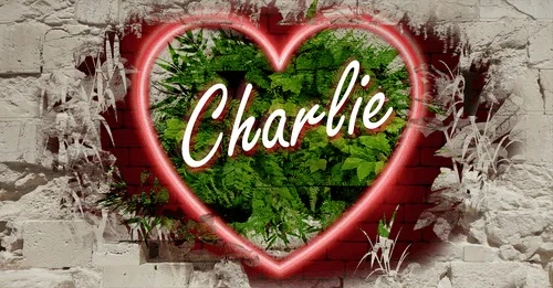 Item #68053287575525751288269231675427811746861684968250582901590729360536183504906 Media