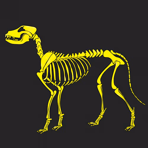 Item #66115251428437251400949335005857765940906863007353817121707627018745150439425 Media