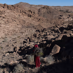 109162157552346088047496633038404394118504199992061596446112929321456175677441