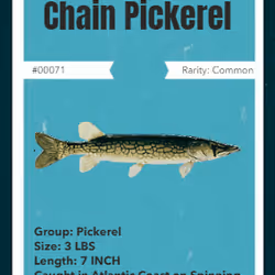 43502264269384842523243150070095810631836830099831581701628992019731153158145