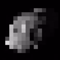 101611924623998941930333168661882227535054209369254077446309962955398473318401