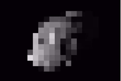 Item #101611924623998941930333168661882227535054209369254077446309962955398473318401 Media