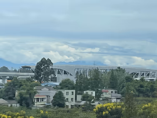 Untitled Collection #28649340