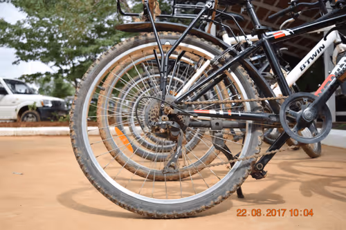 Item #30813211791344152338937808704740591007204009666135450340711733769420949946369 Media