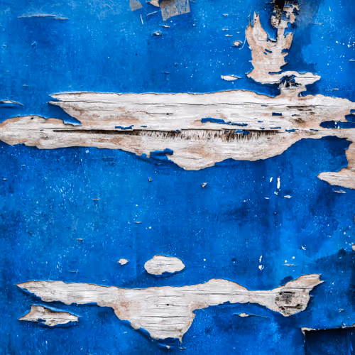 76308435491983099504097783274789726916640920822154394897421291951973097013253