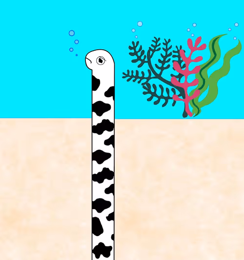 Item #110621585014012715218541653388141415232477054229881465635761620627520611155969 Media