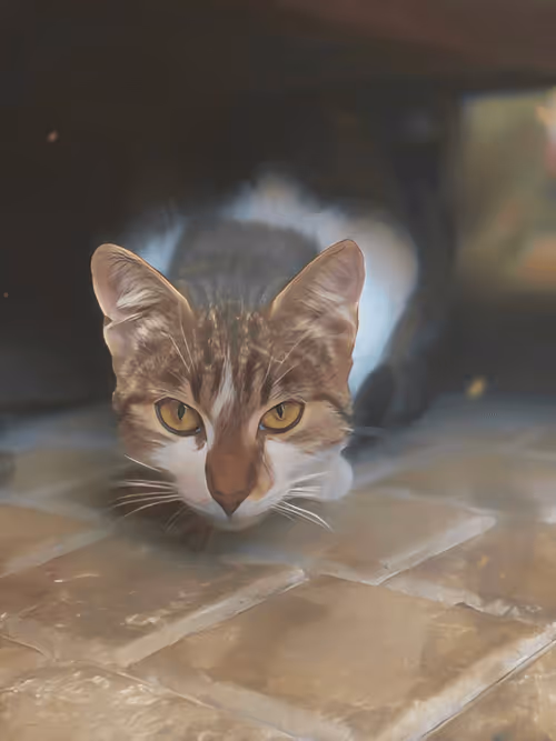 Item #102650025238985064889532626323507420633017859616961165632132729695617989738497 Media