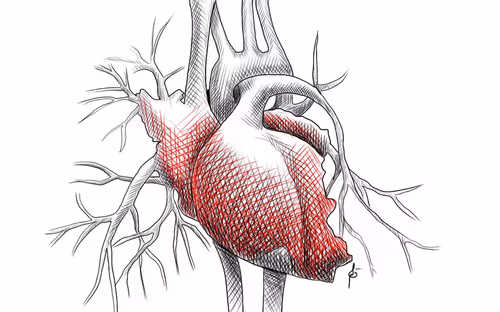 Item #90565886000024527620675431555324542986741614615978234586158564526927369994250 Media