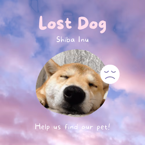 Lost Dog