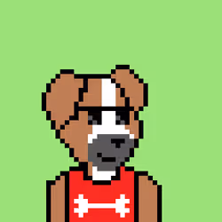 47654056999114043036718504968769856379755101361110030796076621827079994867713