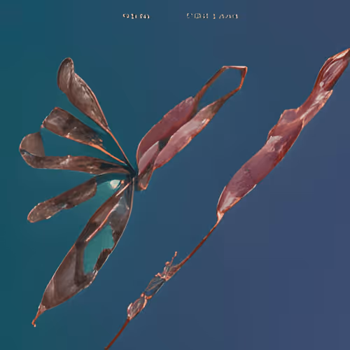 Item #78980453051159895604688474410862051180586672031509490594749409707803061256193 Media