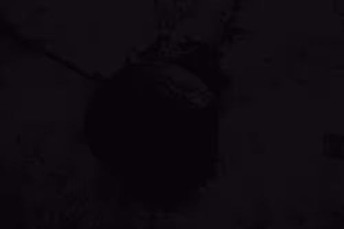 Item #99206175731752603969632246751396839615347692654100145142238794220329735553025 Media