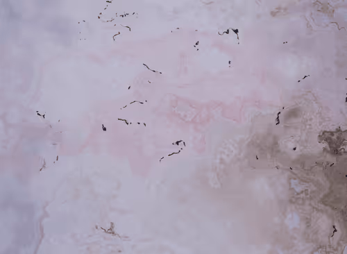 Item #800426490329552907898838003218753352021077305459847457142229061578797350913 Media