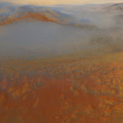 Sea of Colors