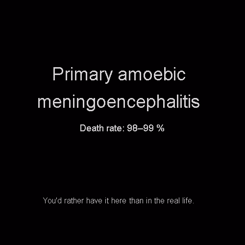 Item #81808085032476359797455255547863298923837726005960725874573045514533240570856 Media