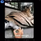 78910830555784784963775647647403349264218024139914360483483133372240844816394