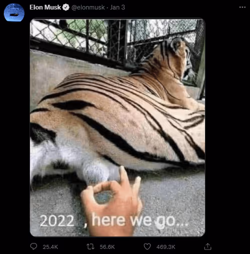 Item #78910830555784784963775647647403349264218024139914360483483133372240844816394 Media