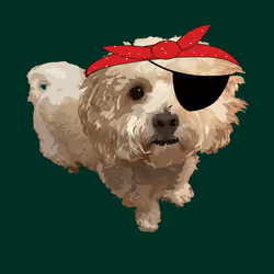 The west coast pirate