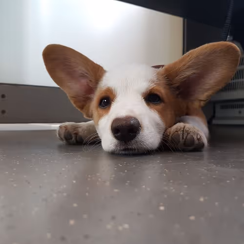 Untitled Collection #459456187