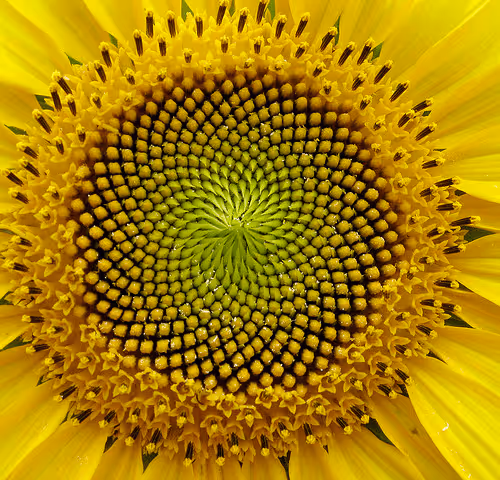 Item #39629935389522237345664437028542438492977381533873015043488418112402001756167 Media