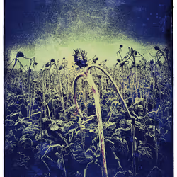 3787080761074609709675817509753112159059746763483256848434353516014966145025