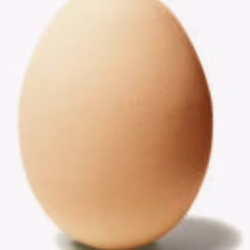 Egg # 1