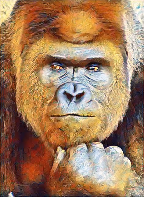 Item #36157996047537005639923525870409255010668037519470871790095199470433452687460 Media