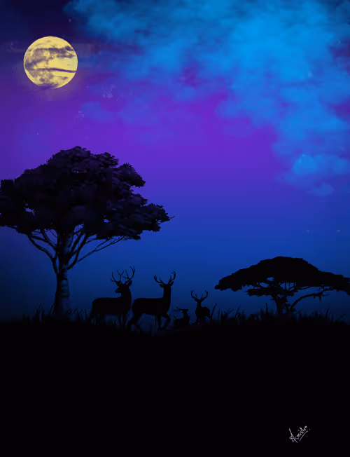 Item #34789917390444565288909537446487560819145117692948996459411274229622794878977 Media