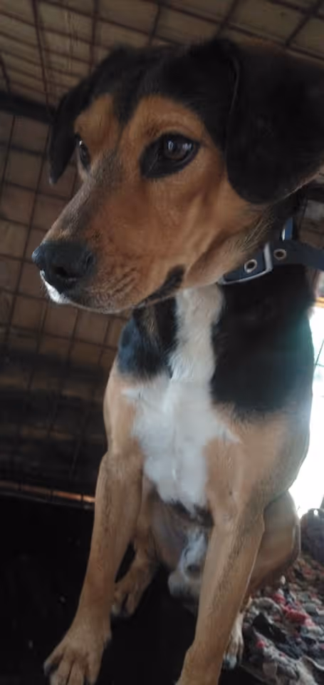 Item #23439807421783349604606688817165201350165750151979961366033252252391990886401 Media