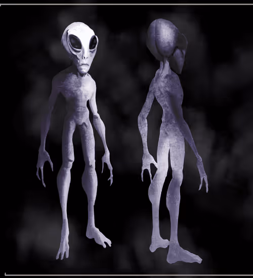 Item #77857013498944720190854790804710868687861916756572835242750704612782326677704 Media