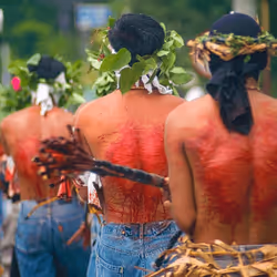 27235141144174812635465561922651688898708314714766009176005397974836448329729