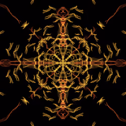 XSpace 10. Web