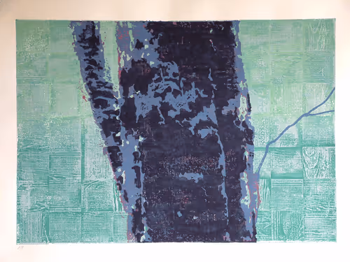 Item #72925079646173943955019179802066495558357068765344184678483369515496343863306 Media