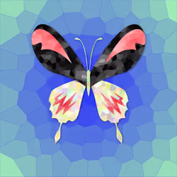 Nesterfly #0442