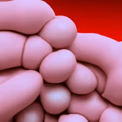 56681820197342161819819372651831042447314914966245969648562741717612227461121