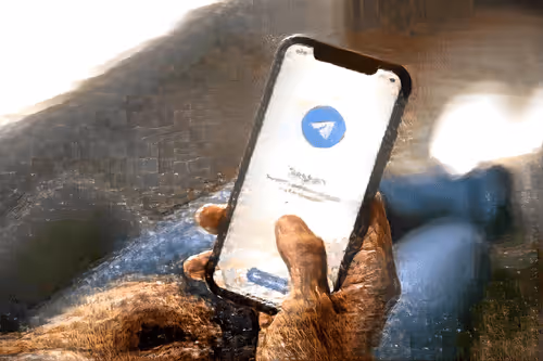 Item #46348760172238224793494684653297470774678727208415896912036357856167288897537 Media