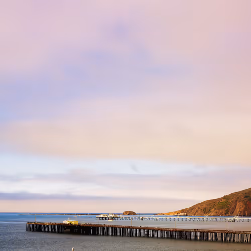 Item #12319963093985835683267770767399022846869396861358140790008071178002035113985 Media