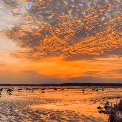 Fire Sunset 001