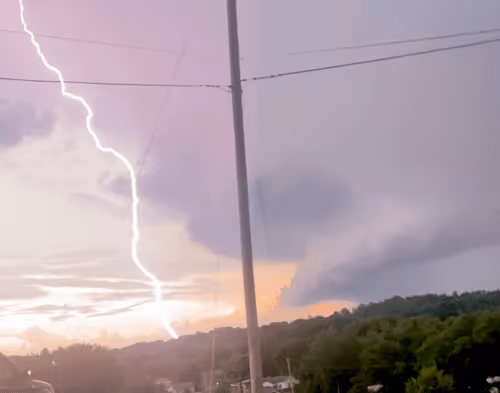 Item #35047546925053149009984589488841569175591831700308316873491516212612817747969 Media