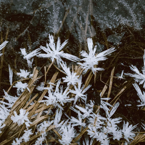 Item #103357970295316058088148646067446465384042318865679672817630305981468927590405 Media