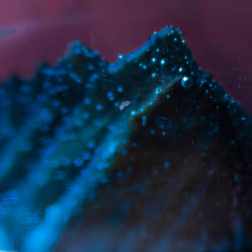 Item #8251270981130702250905355697814279819197198943221984468281114907406436925441 Media