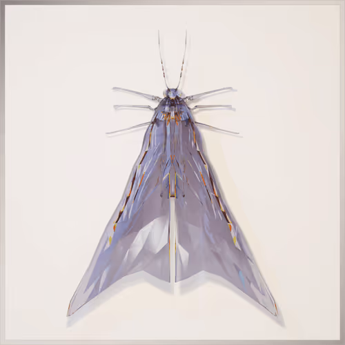 Item #25453788689510554603885852270027977243626076098541002992990204186636312379393 Media