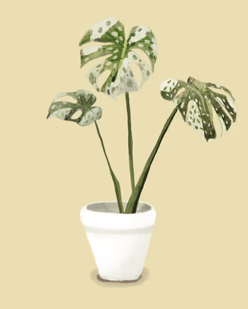 Item #12338872965748960330777031479598626524487181570575812676954416093021748592665 Media