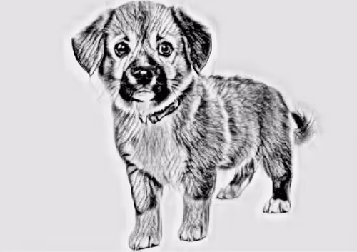 Item #23143313246472061328071561115701105421589606567298838424350448150037080834049 Media