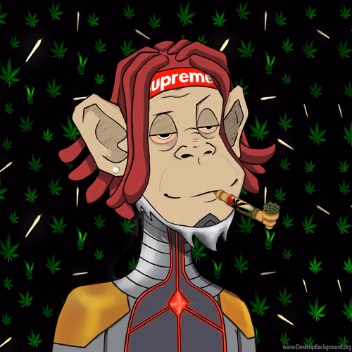 MONKEYHYPE #1084