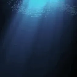 MetaWhale